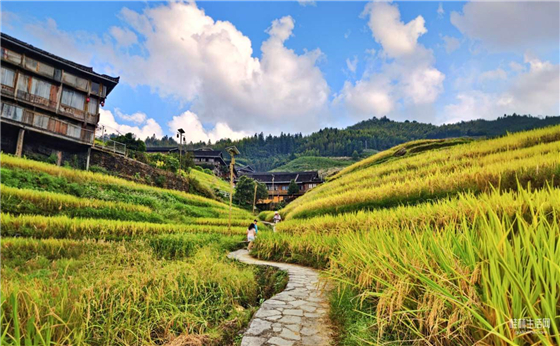 一个免费的小山村，梯田秀美