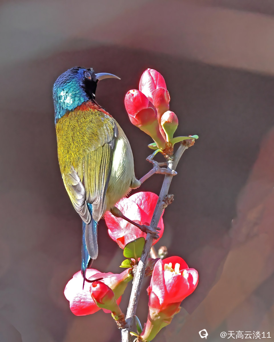 5D2A7942-DeNoiseAI-denoise.jpg