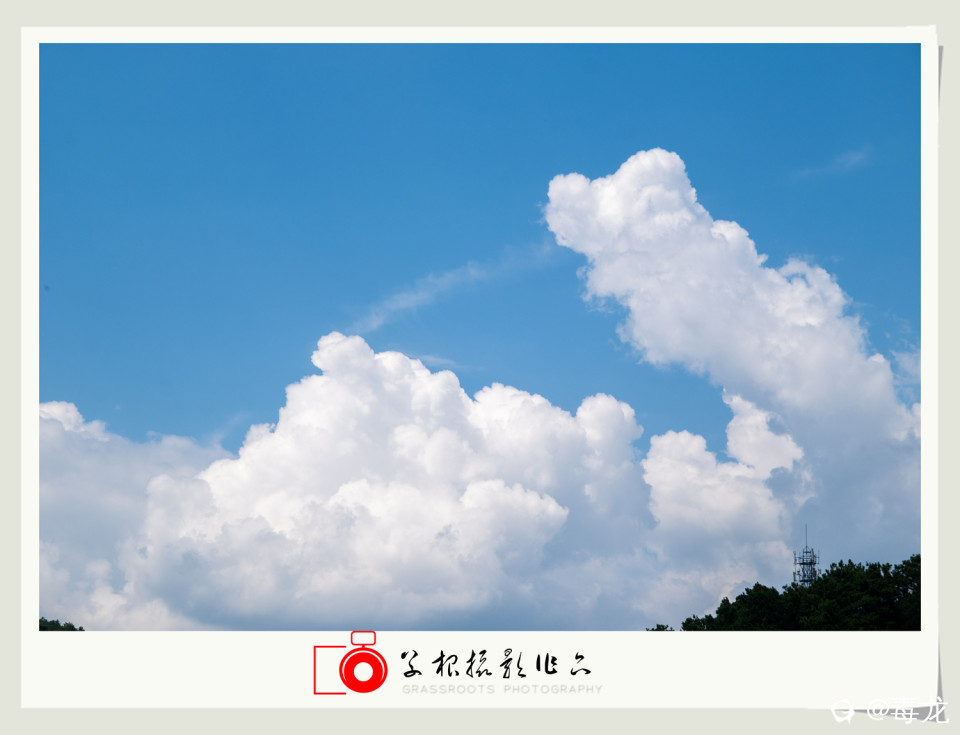 _DSF9878 拷贝_副本.jpg