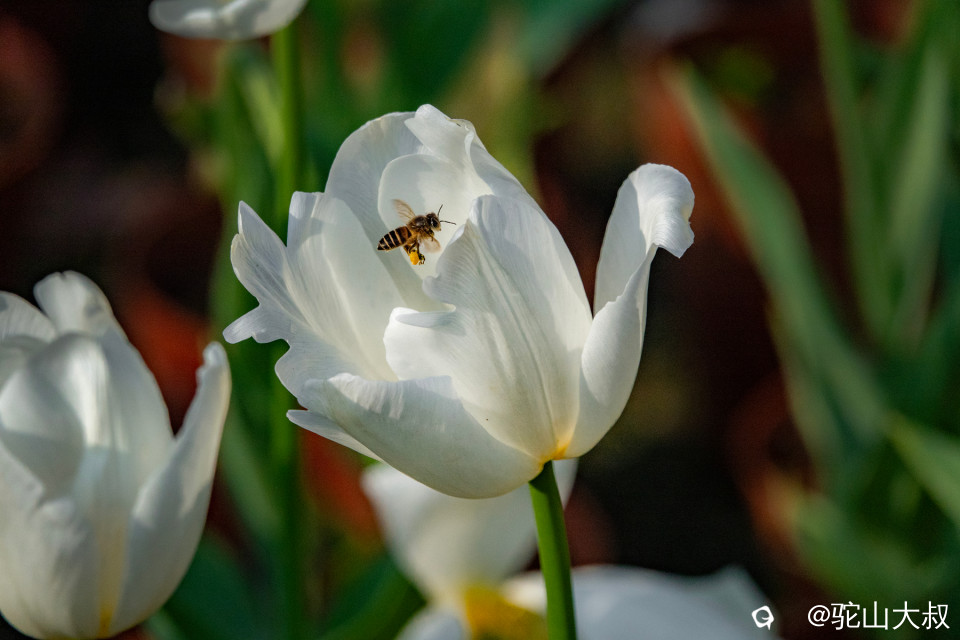 DSC00614-0 - 副本.jpg