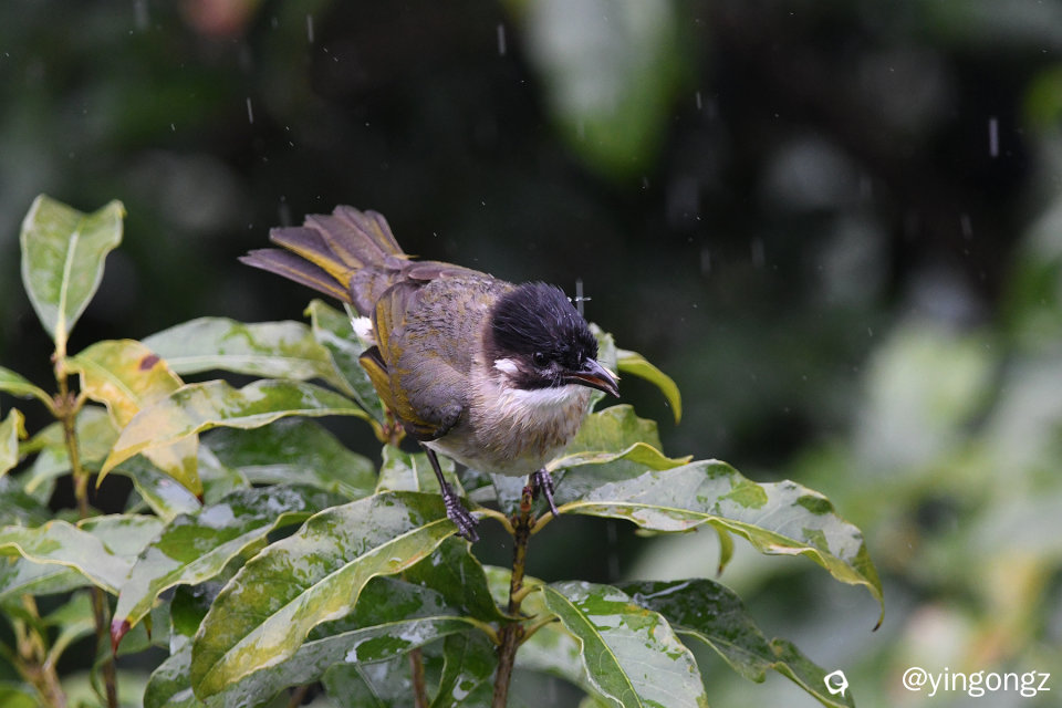 DSC_1348_副本.jpg