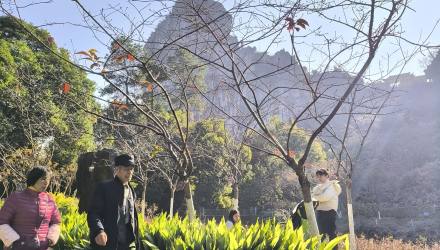 南溪野果野草野花&prime;一一桂林的冬天不冷不寒