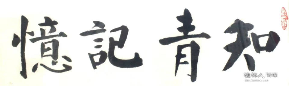 微信图片_20240810070403.jpg