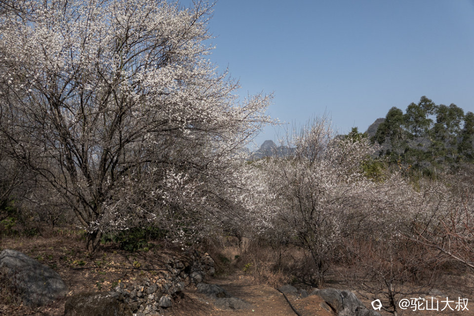 DSC04698-0 - 副本.jpg