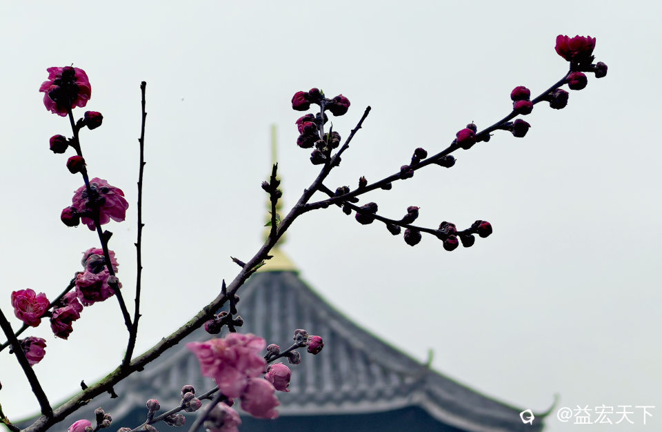 IMG_20260226_162012.jpg