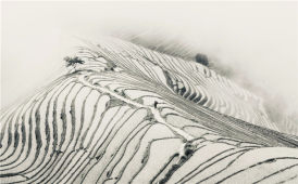 龙脊骨相