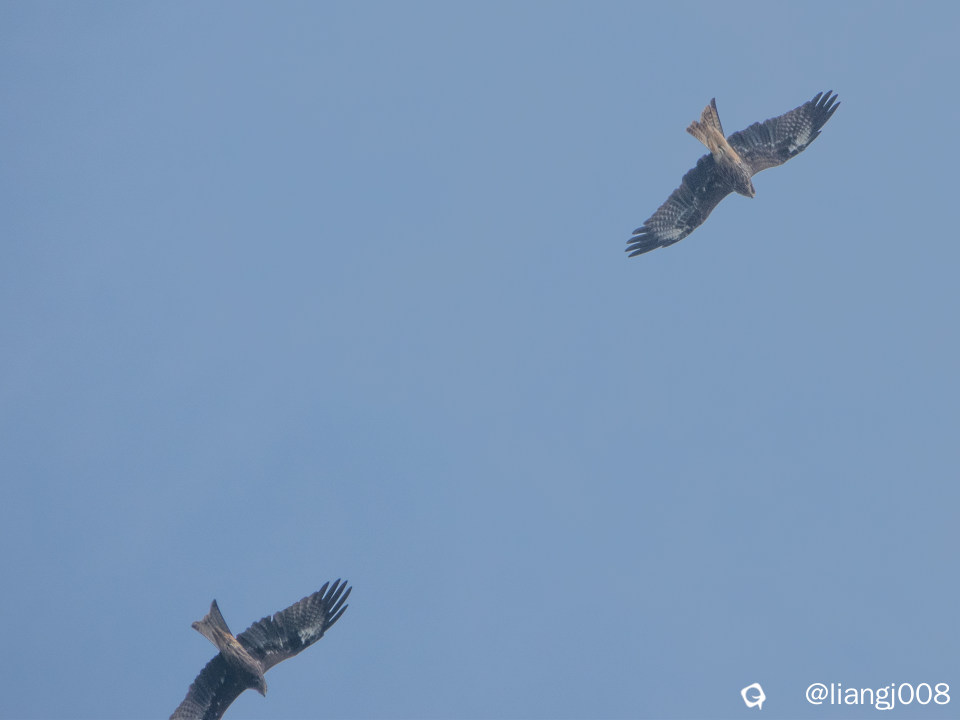 DSC09879_副本.jpg