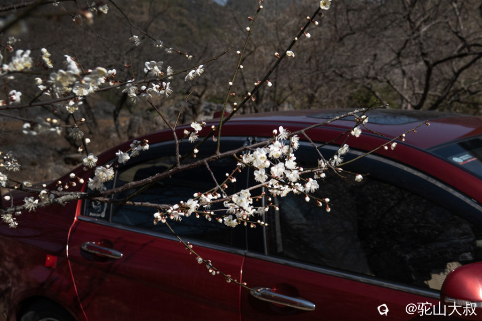 DSC04759-0 - 副本.jpg