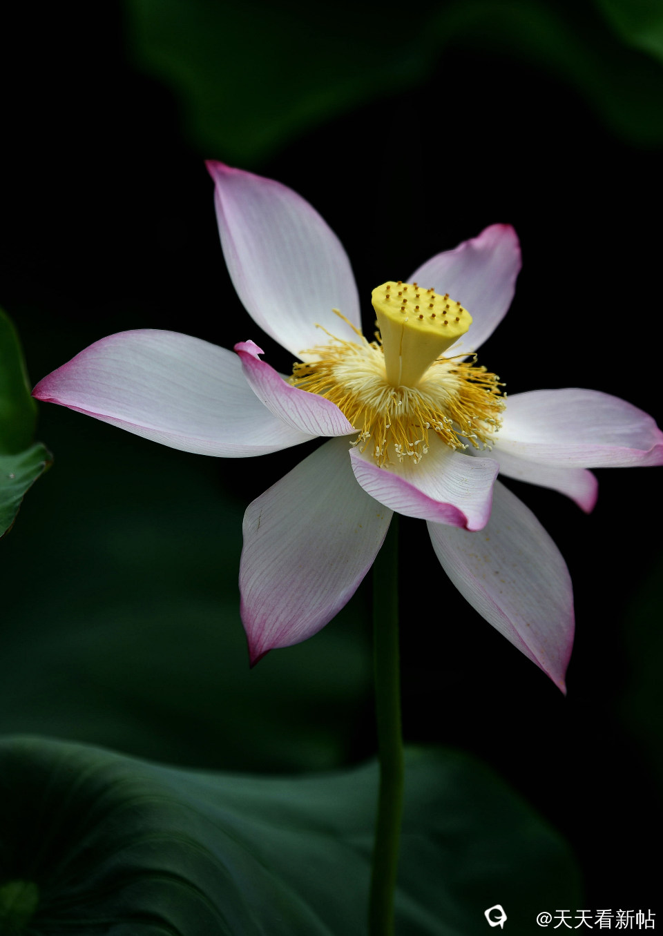 DSC_4622_副本.jpg