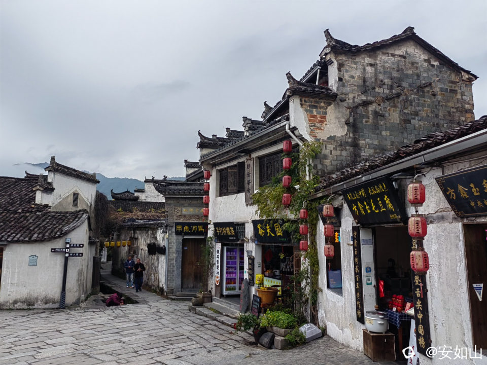 IMG_20231213_113531.jpg