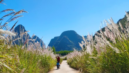 山窝窝里芒草美：银花空谷漱，雪絮伴云飞