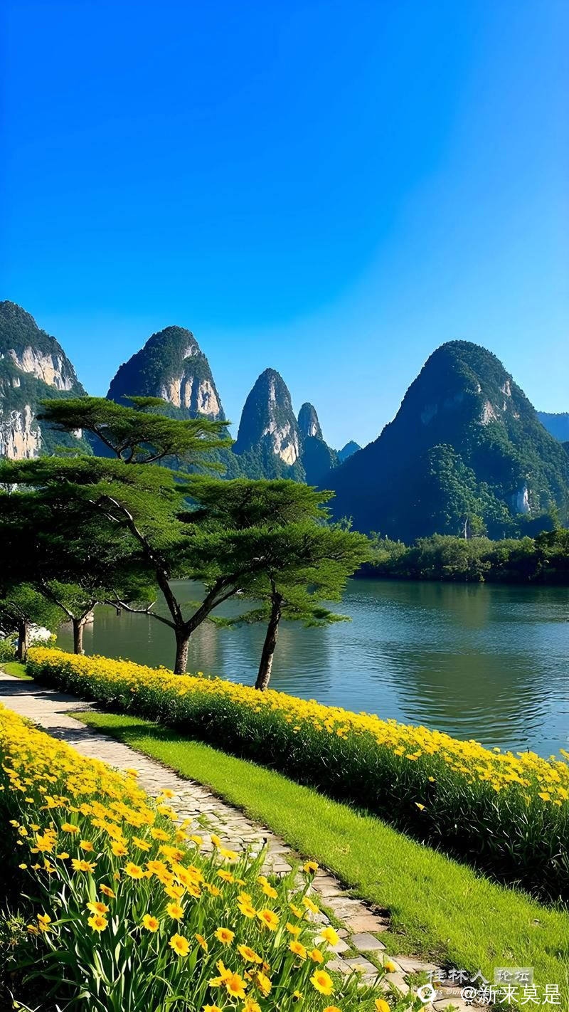 u=3771071306,199059796&fm=253&app=138&f=JPEG_看图王.jpg