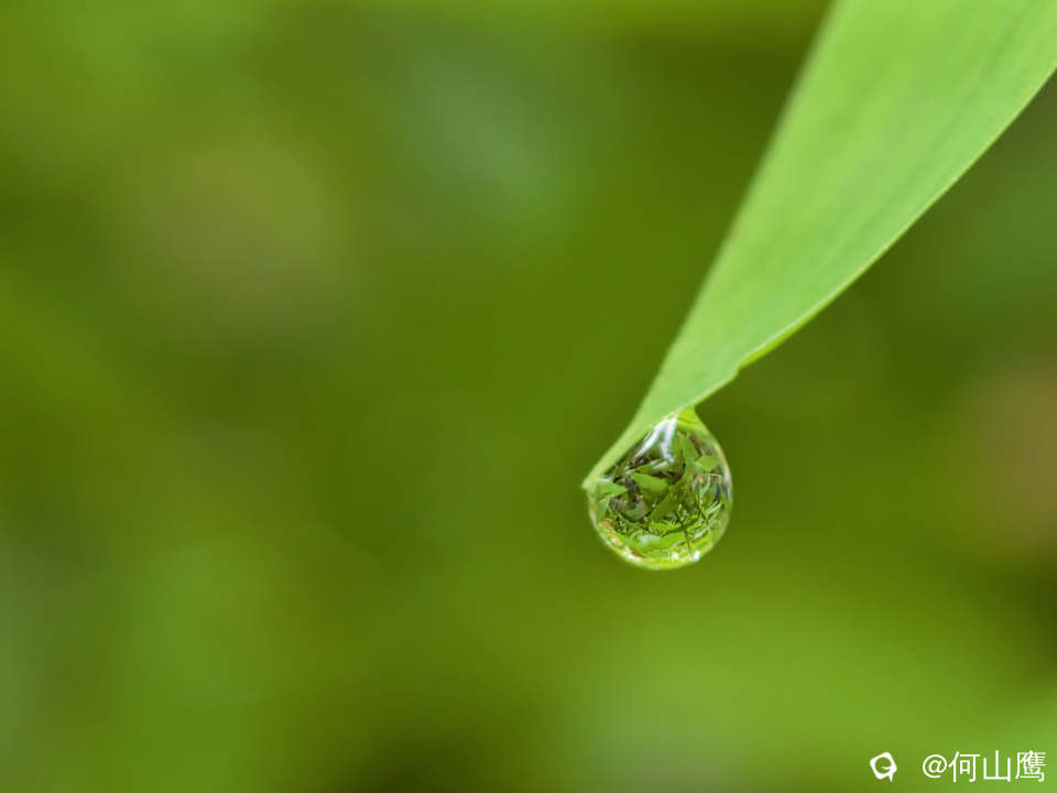 5878a57f-fd7e-583d-3f83-f5e0a0f577e5.jpg