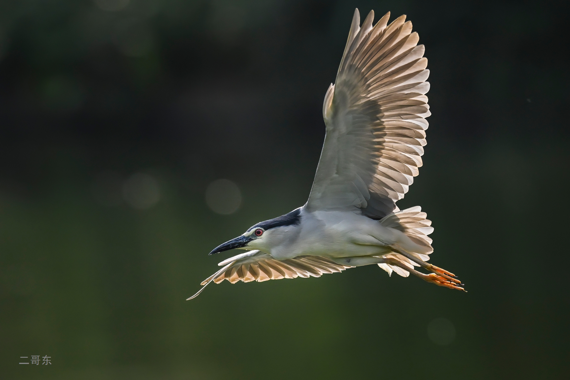 ★★★★★&ldquo;飞鹭&rdquo;