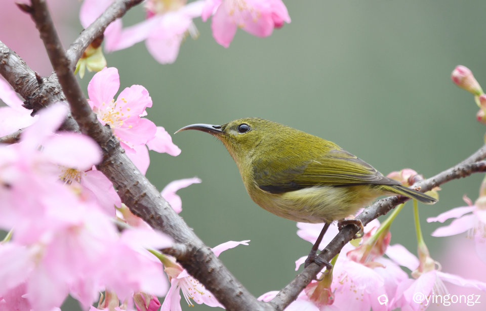 DSC_4780_副本.jpg
