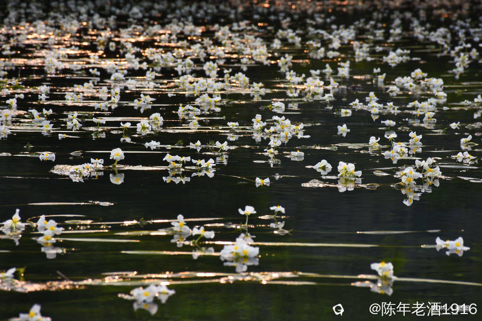 DSC_5370-01_副本.jpg
