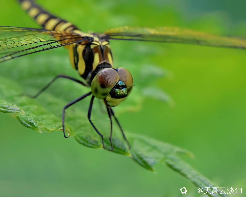 5D2A0198-DeNoiseAI-clear.jpg