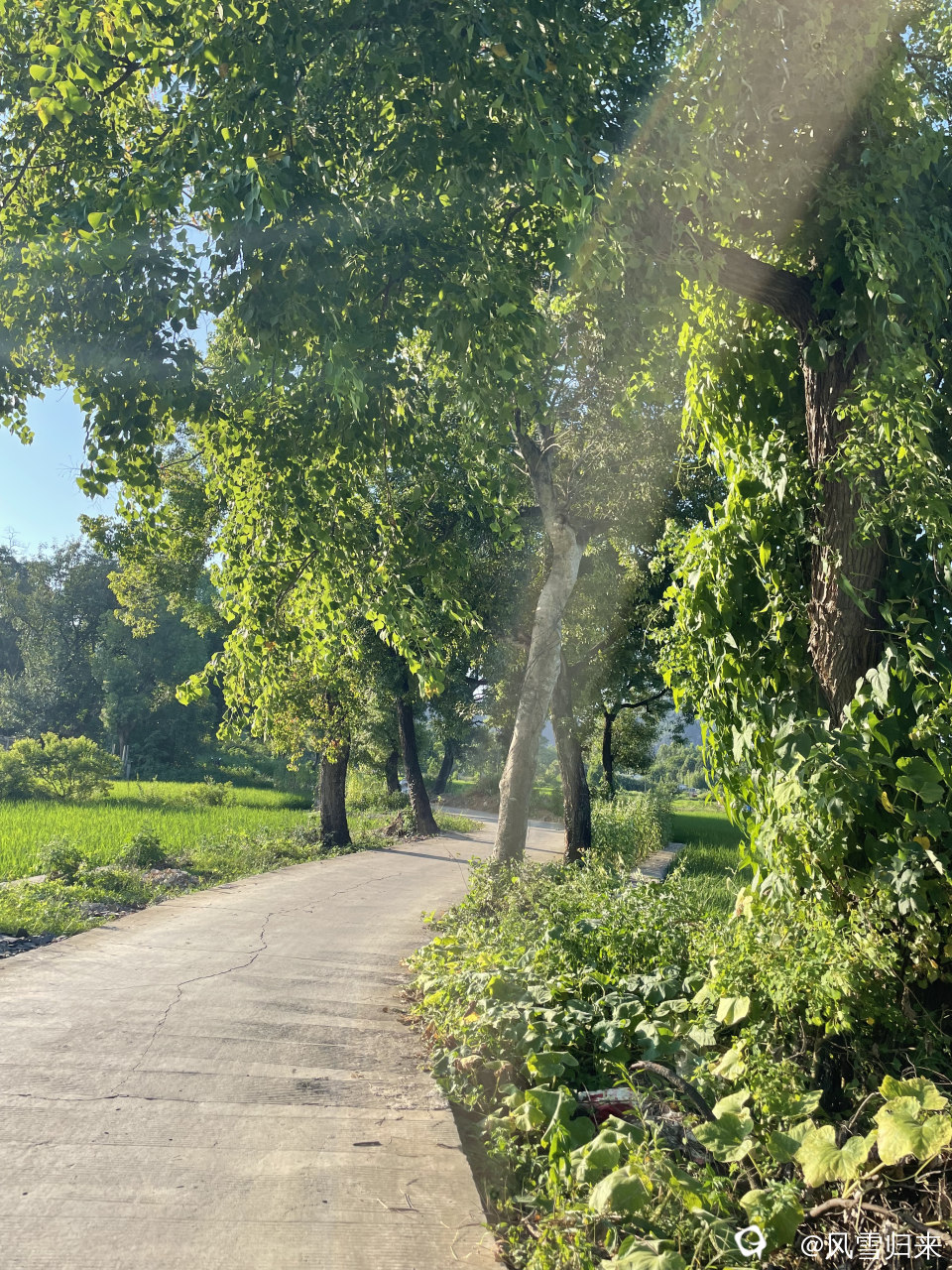 d16e4dfff97c4492a933df35b2907ce9.jpg