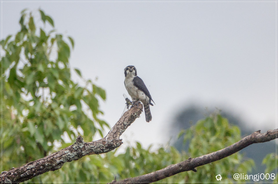 DSC09057_副本_副本.jpg