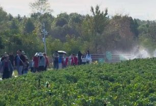 趁峰林正好、江水澄澈！一起走进桂林醉美山水间