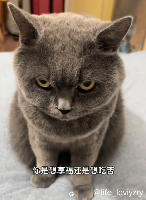 屏幕截图 2026-05-28 143303.png