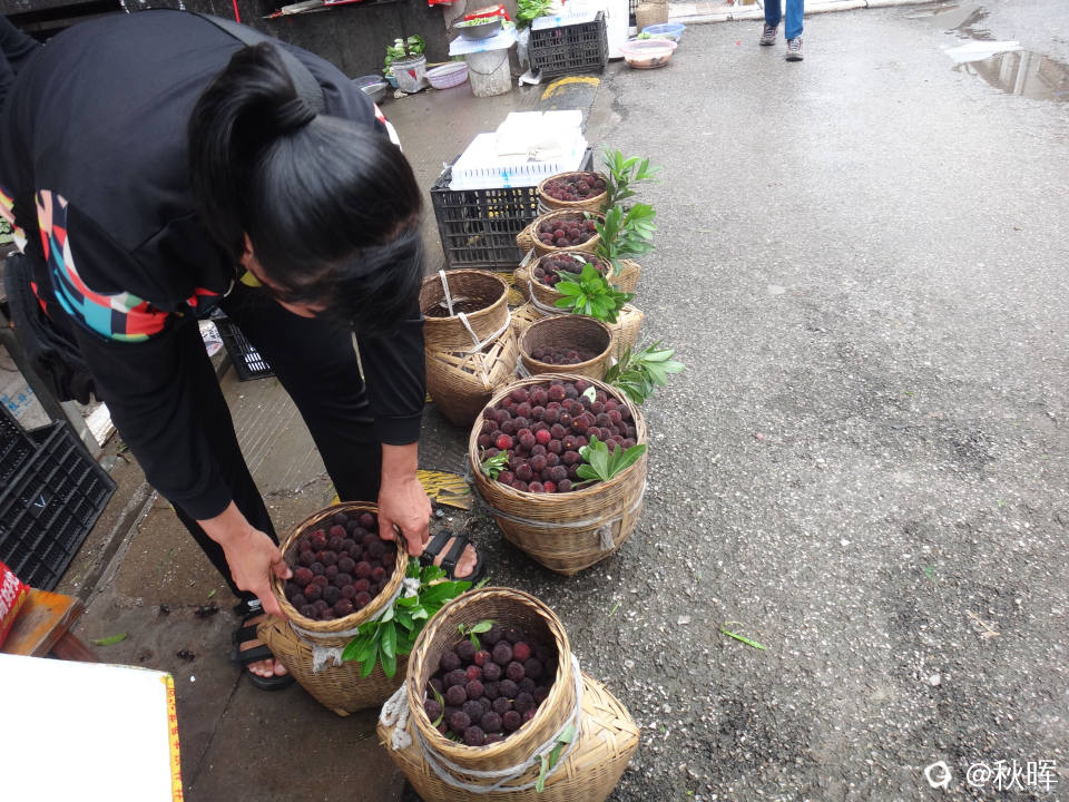 DSC08462.JPG