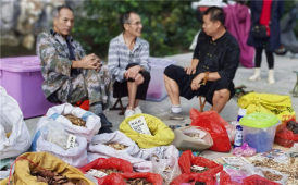 中药街闲逛（手机片）