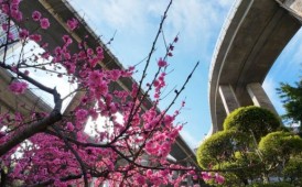 换个角度看风景，美无处不在