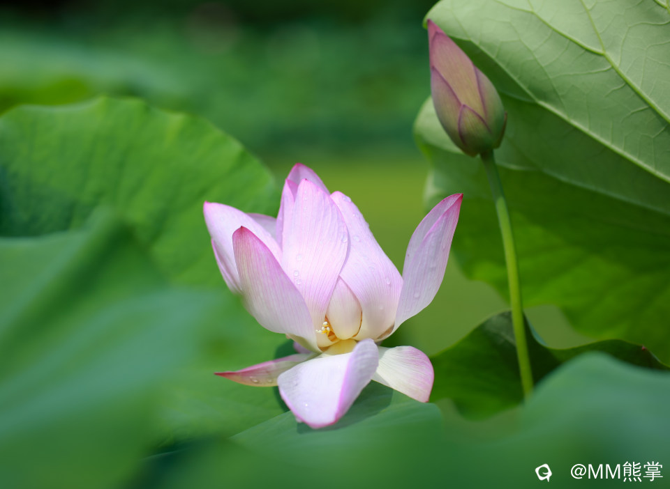 d2700e7b-7469-a3e9-0a61-6220baeb8e9b.jpg