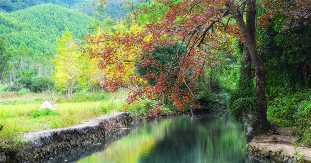 桂林第一波赏秋进行时