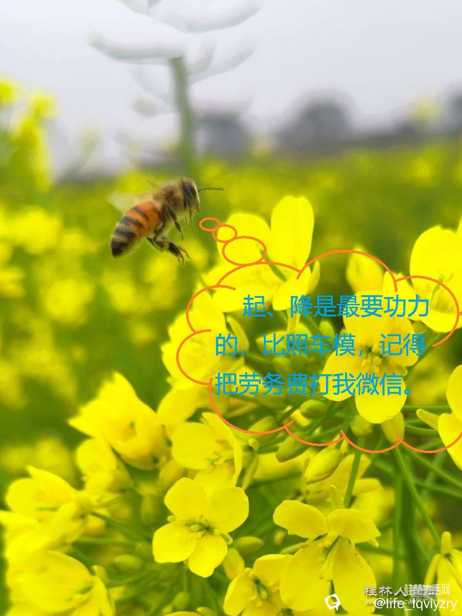 20260127164431front2_0_2066371_FmyL7G1ugvQUd4hpwgNC-tByzBPV.jpg