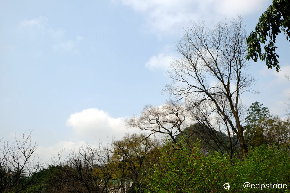 06.jpg