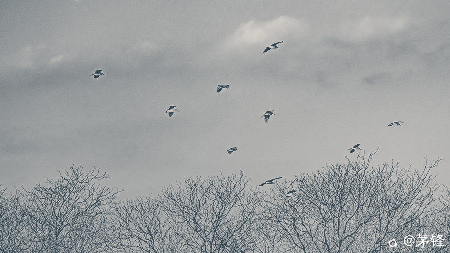 DSCF0902-3.jpg