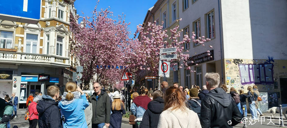 IMG20250406121706 (2).jpg