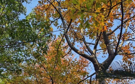 走在环城路旁，人人都抬眼望