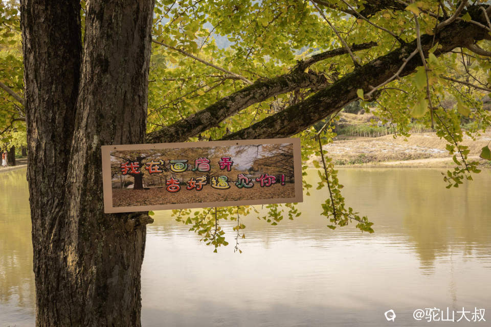 DSC04092-0 - 副本.jpg