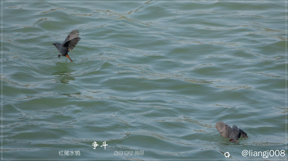DSC08279_副本.jpg