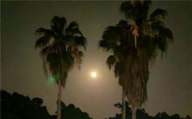 圆月之夜