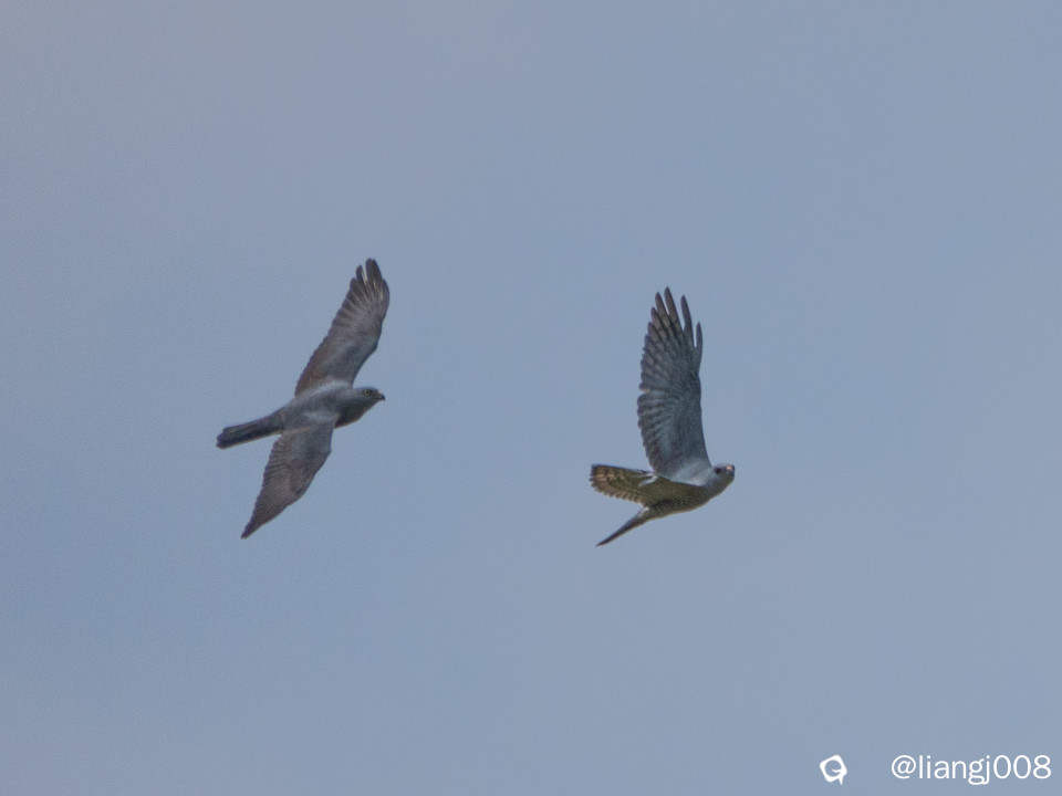 DSC00568_副本.jpg