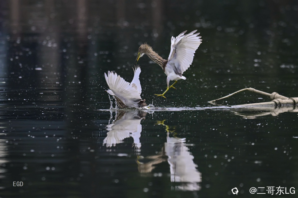 你瞅啥瞅你咋地 (8).jpg