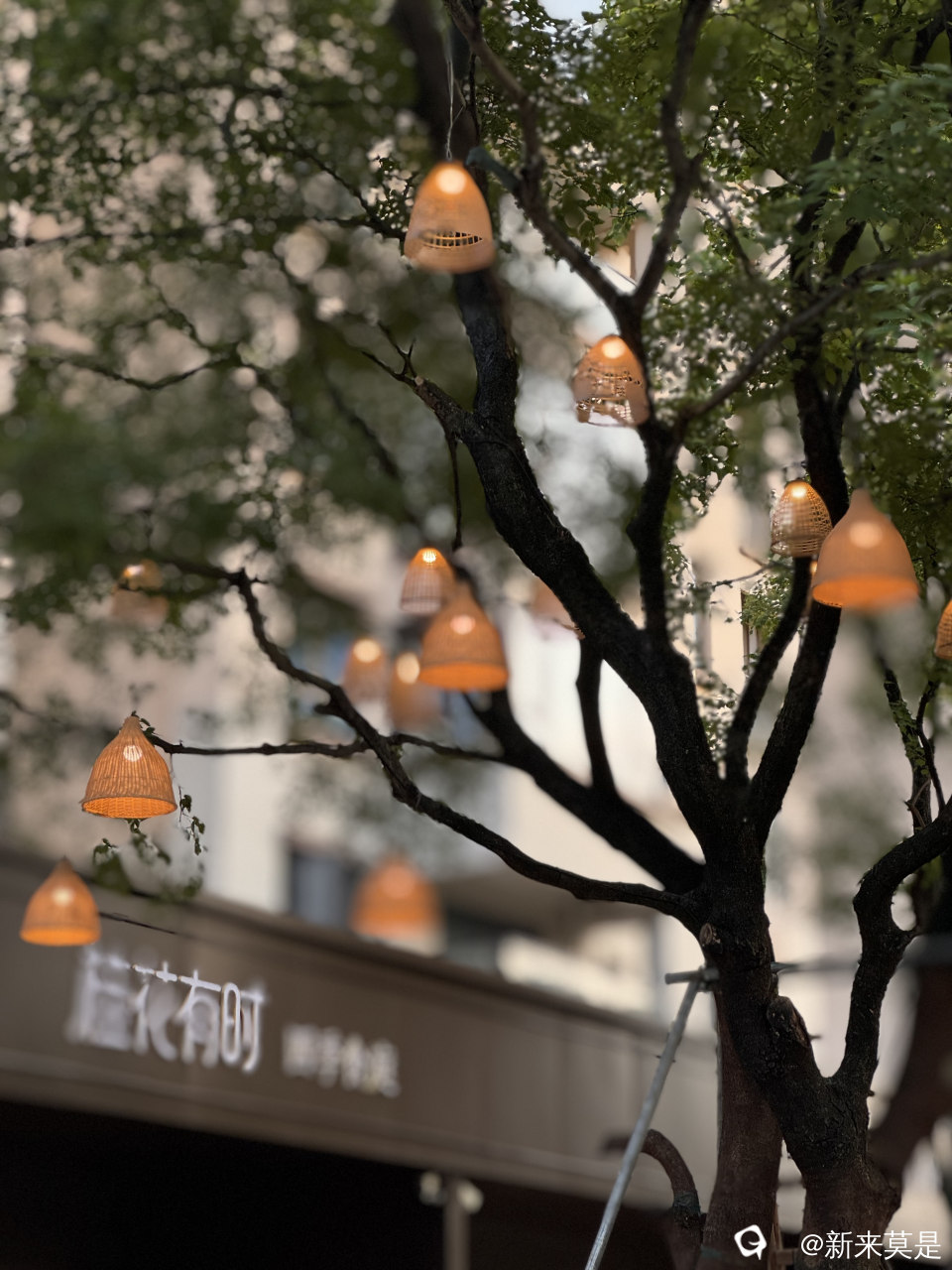 微信图片_20260603094250_31_3764.jpg