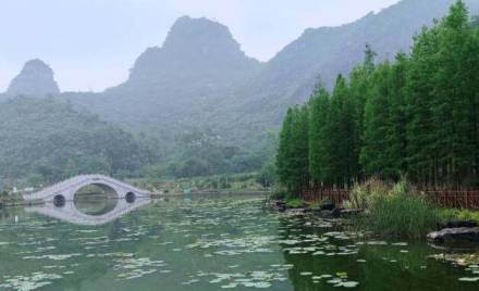 五月的雨滴在桂林五湖的荷叶上滚动