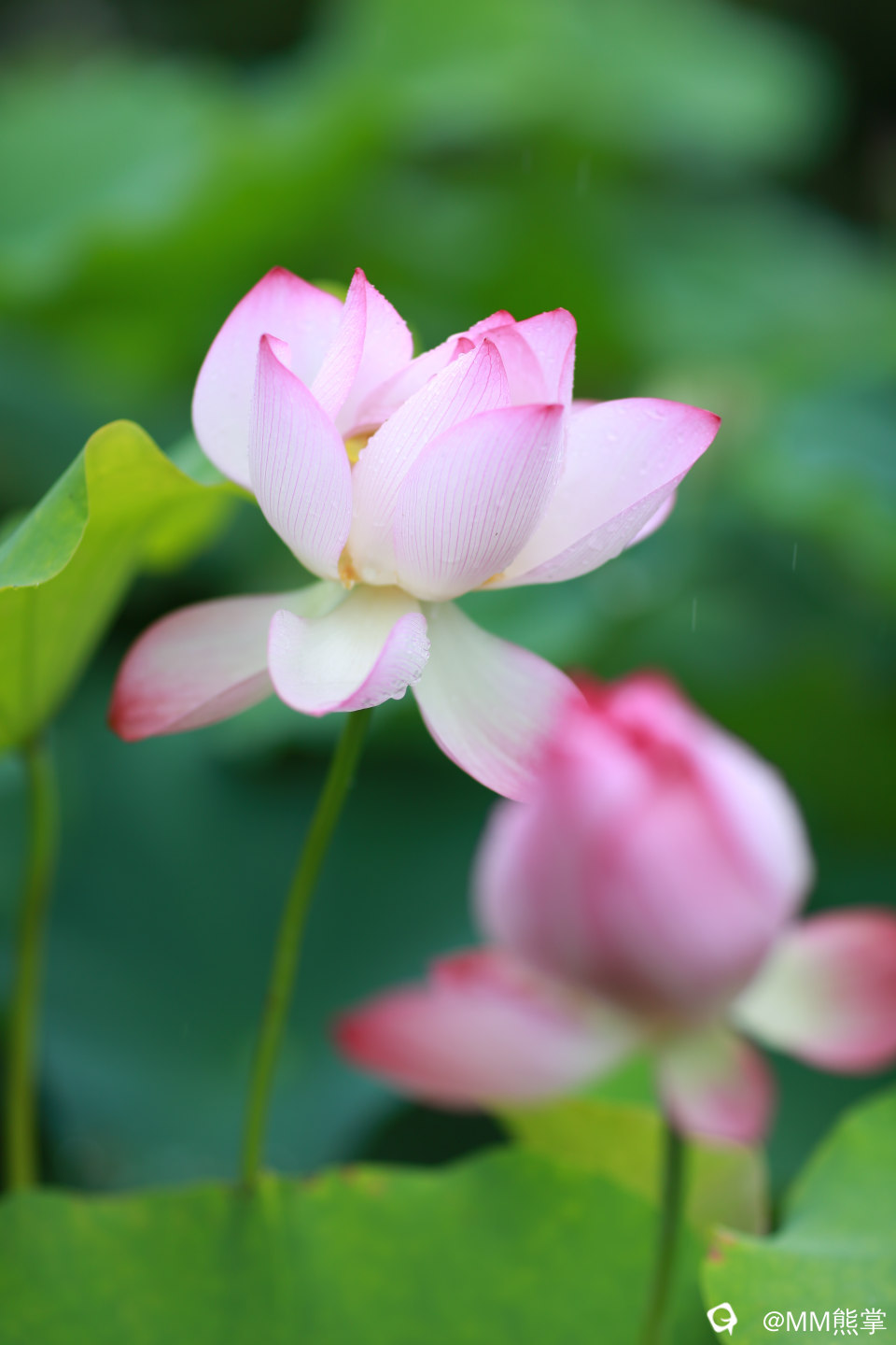 c148de39-ae93-c585-6157-91bc3a70b99f.jpg