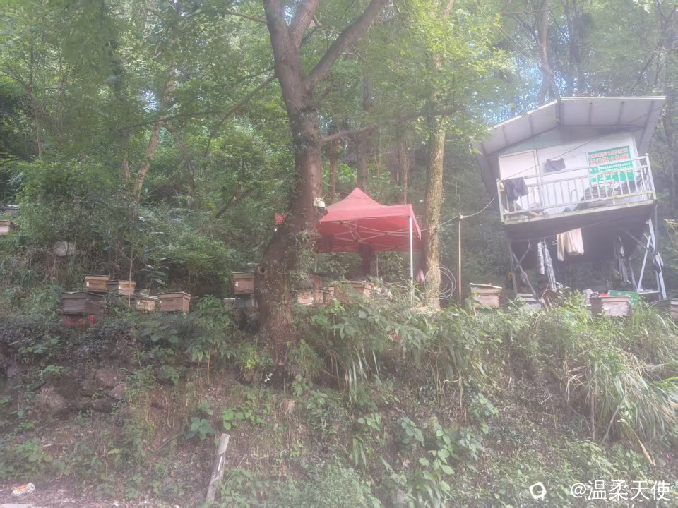 微信图片_20260726172820_69_10.jpg