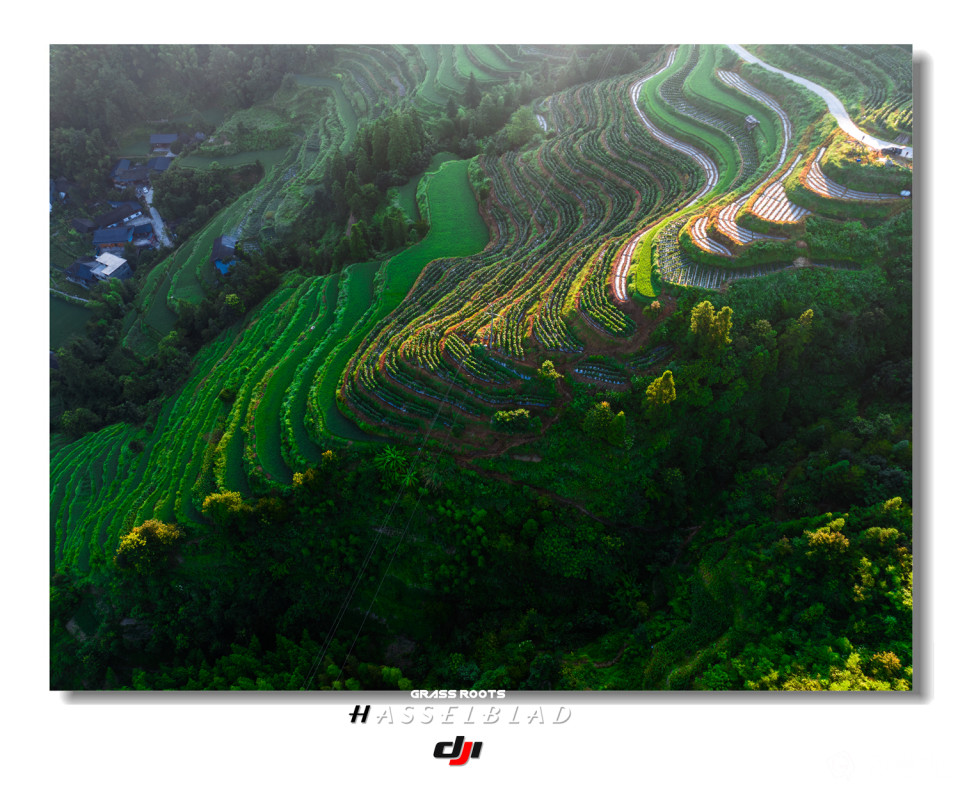 DJI_0184-HDR 拷贝_副本.jpg