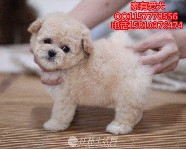 �������̩����Ȯ  ̩�϶���Ǯ  ̩�ϳ������ض���