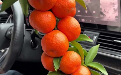 广西的甜让人上头，网友晒广西砂糖橘，一串管饱！！