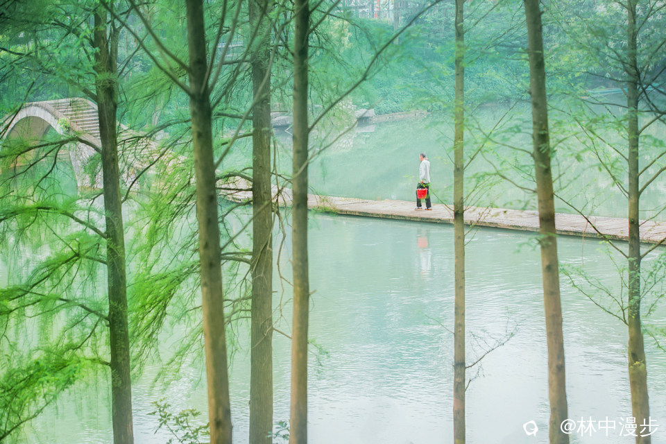 14-1.jpg