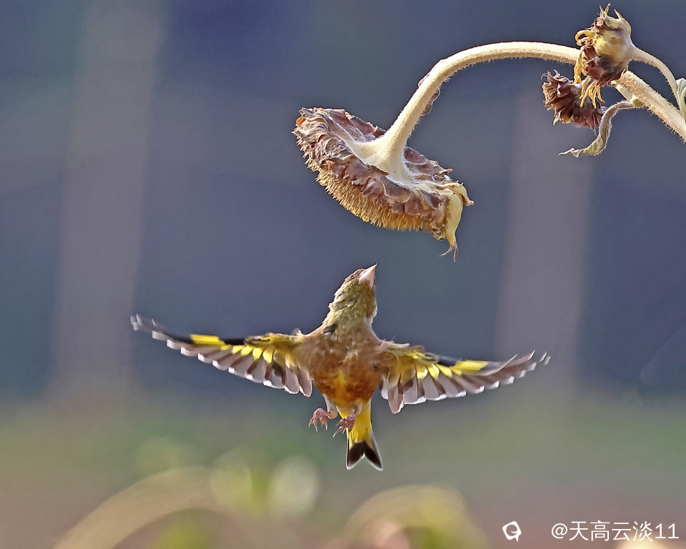 5D2A1861_副本.jpg