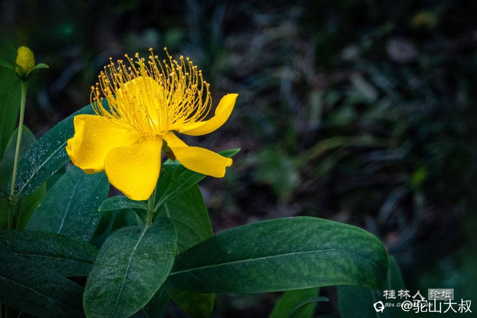 DSC08257-0 - 副本.jpg